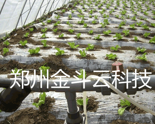 黄瓜视频APP6系统