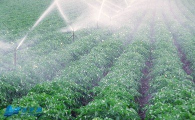 黄瓜视频APP6系统
