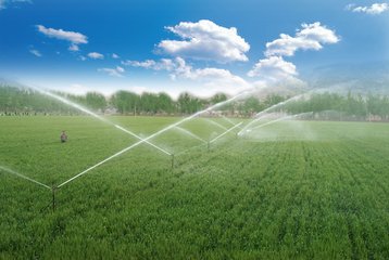节水黄瓜视频APP6厂家