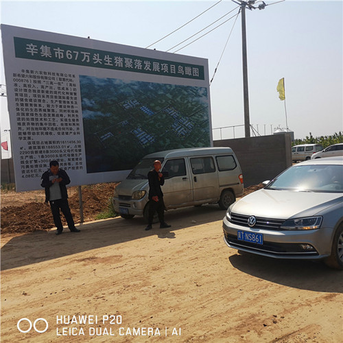 辛集市67万头生猪聚落采购黄瓜视频APP6钢三柱黄瓜视频在线观看高清免费完整版